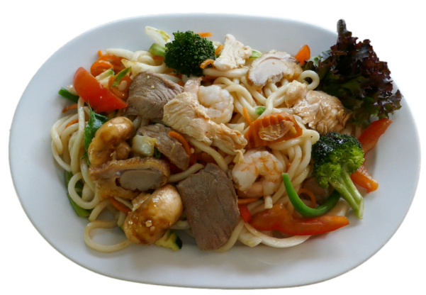 Udon-Nudeln
